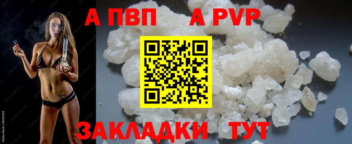 Alfa_PVP СК КРИС Рязань