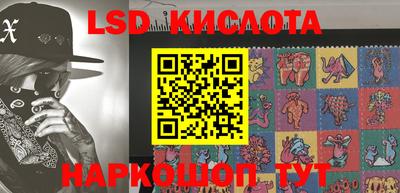 прущие грибы Новодвинск