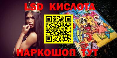 прущие грибы Новодвинск