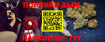 прущие грибы Новодвинск